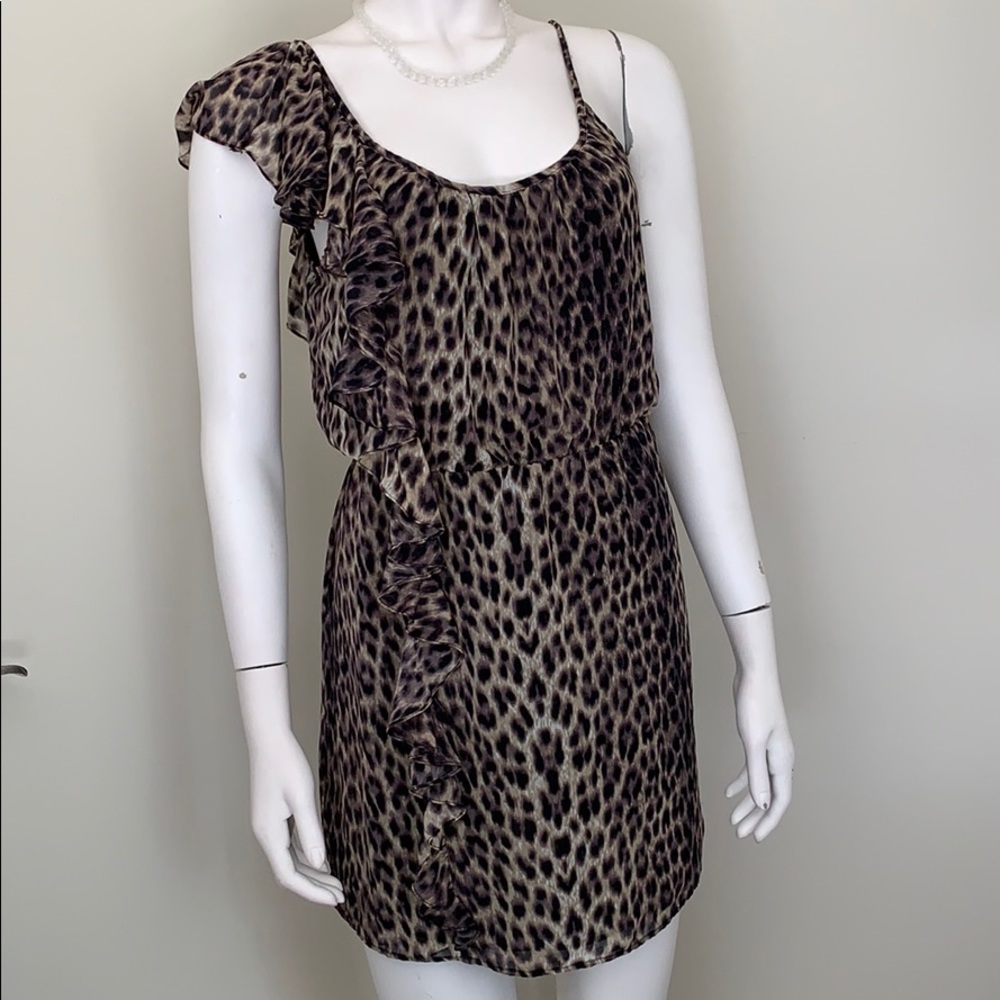 Ruffled Animal Print Dress